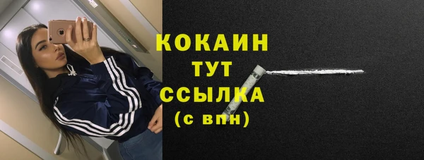 мяу мяу мука Кукмор