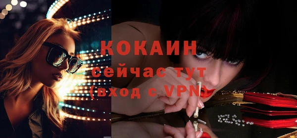 гашик Кулебаки