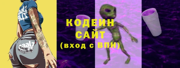 гашик Кулебаки