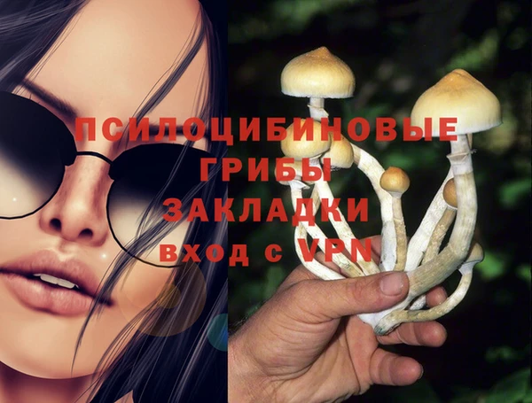мяу мяу мука Кукмор