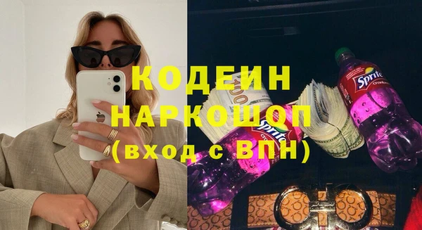гашик Кулебаки