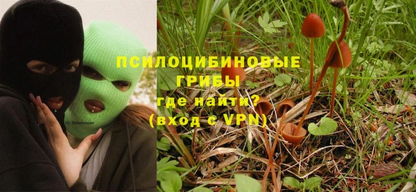 мяу мяу мука Кукмор