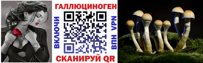 Псилоцибиновые грибы мухоморы  kraken зеркало  Чухлома  цена  