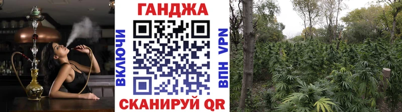 купить закладку Чухлома Каннабис планчик